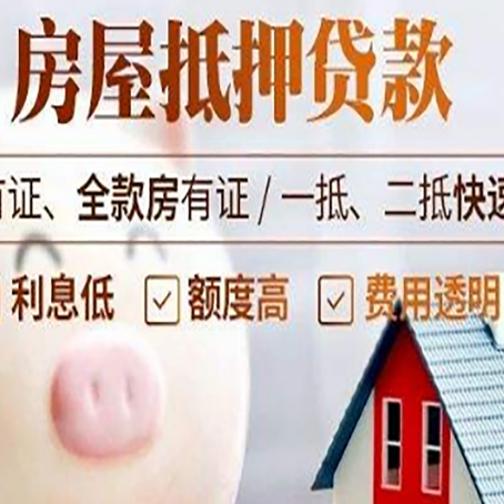 樟树贷款助贷公司新渝启服成立时间久